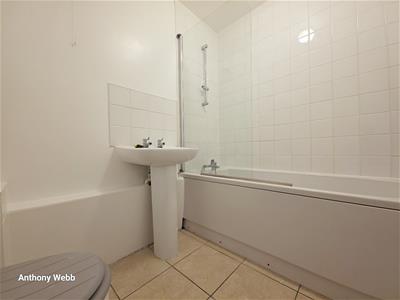 Picture 7
